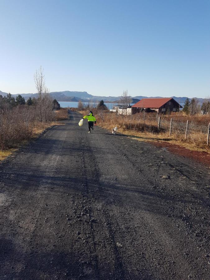 Thingvellir Lake Cottage Veithilundur Bagian luar foto