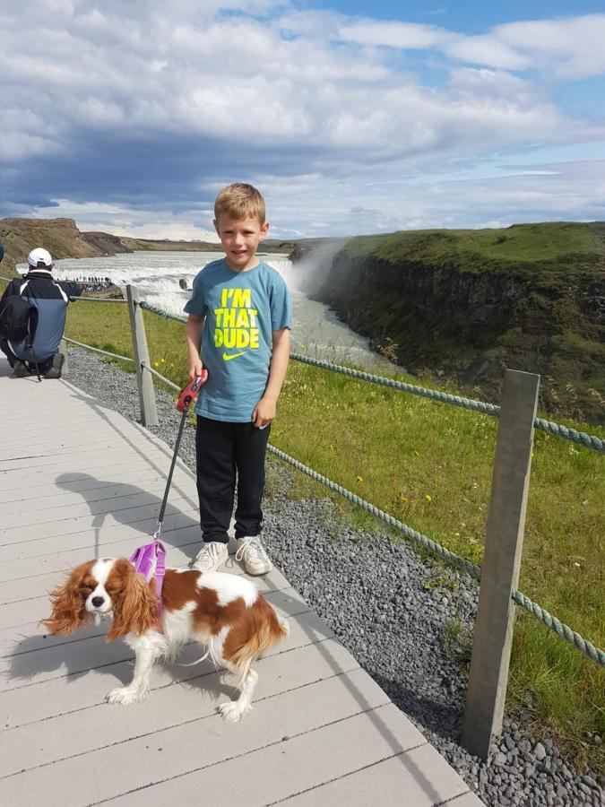 Thingvellir Lake Cottage Veithilundur Bagian luar foto