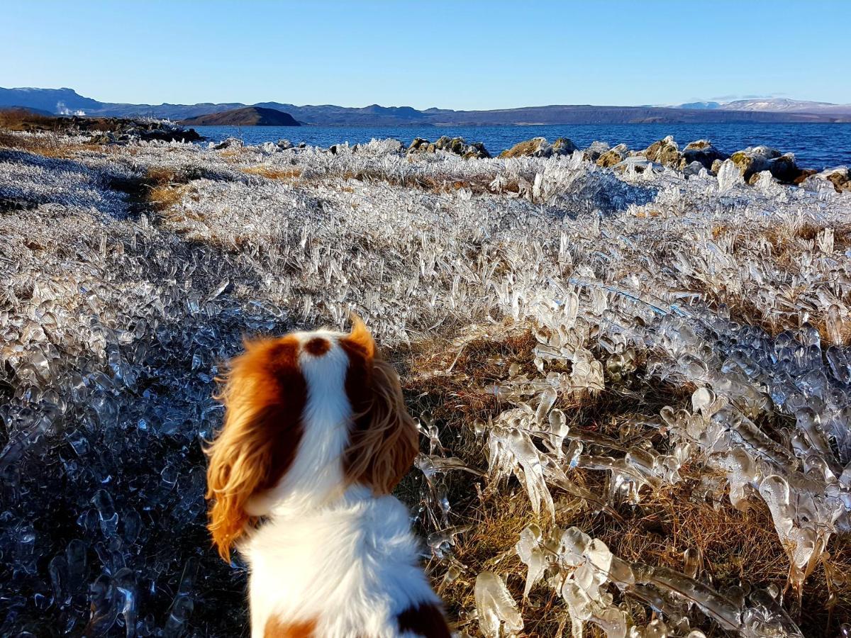 Thingvellir Lake Cottage Veithilundur Bagian luar foto