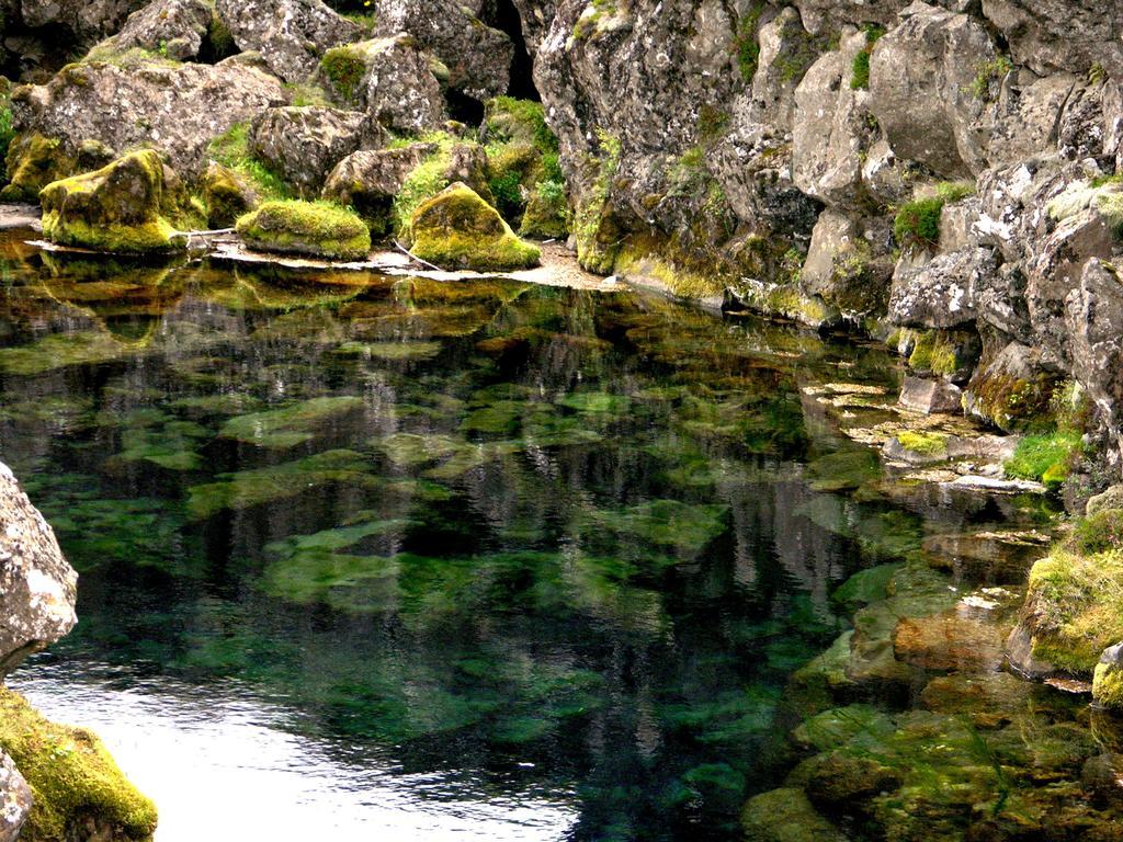 Thingvellir Lake Cottage Veithilundur Ruang foto